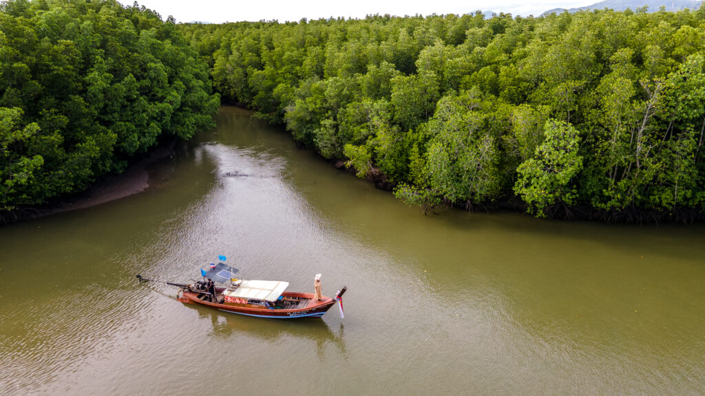 bangrong community travel tourism phuket drone mangrove forest 2