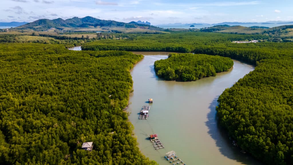 bangrong community travel tourism phuket drone mangrove forest 4 1
